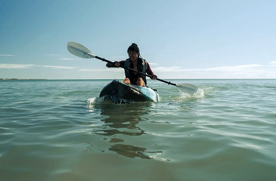 Photo du film The Reef: Stalked