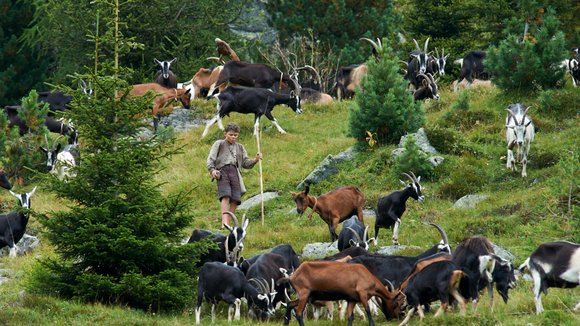 Photo from the movie Heidi