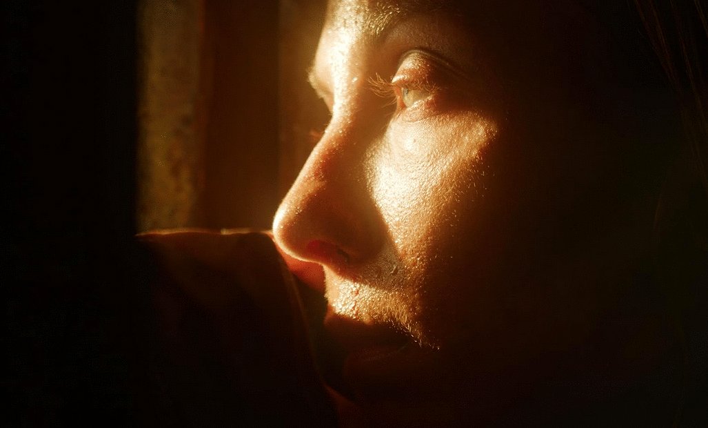 Photo du film Box: Metaphor