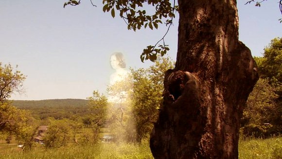 Photo du film Bridge of Names