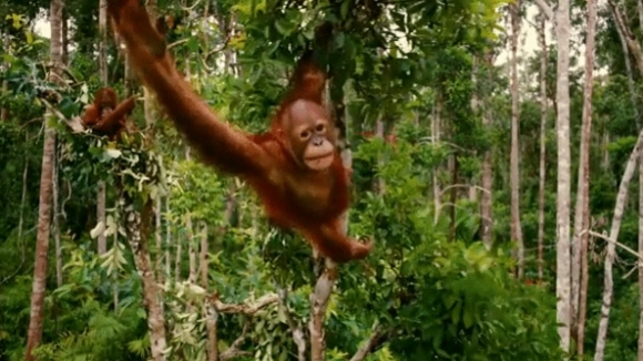 Photo from the movie Born to Be Wild