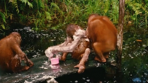 Photo from the movie Born to Be Wild