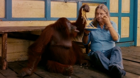 Photo from the movie Born to Be Wild