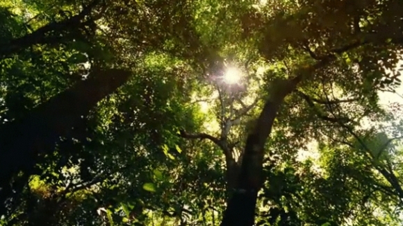 Photo from the movie Born to Be Wild