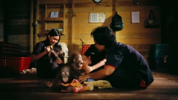 Photo from the movie Born to Be Wild