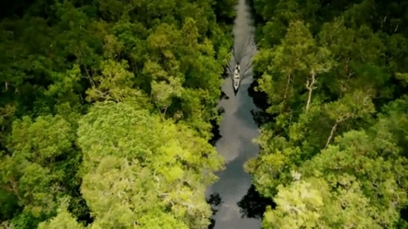 Photo from the movie Born to Be Wild