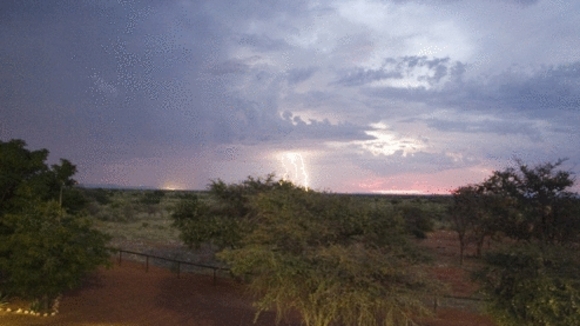 Photo du film The Meerkats