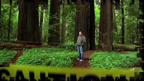 Photo du film Rooted in Peace