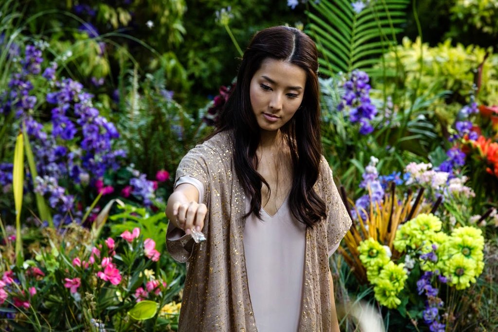 Photo du film The Shack