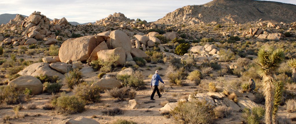 Photo from the movie Where Is Rocky II?