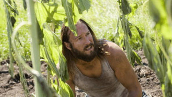 Photo du film Les Messagers