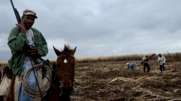 Photo du film Le Prix du sucre