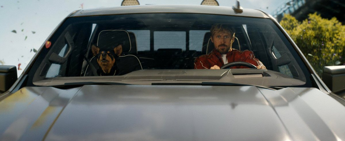 Photo du film The Fall Guy