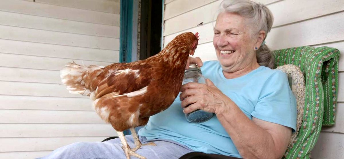 Photo du film Émilienne et le temps qui passe