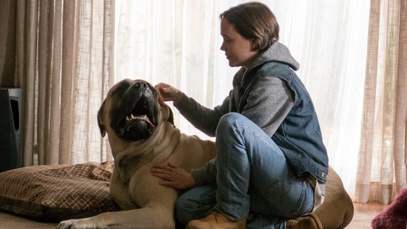 Photo from the movie Freeheld
