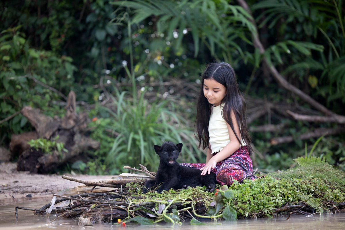 Photo from the movie Autumn and the Black Jaguar