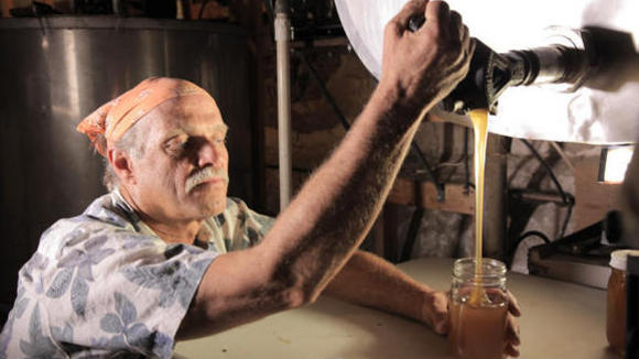 Photo du film Des abeilles et des hommes