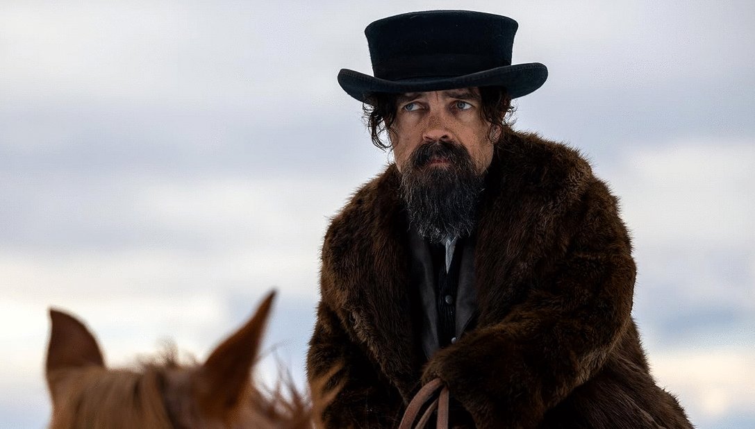 Photo du film The Thicket