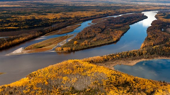 Photo du film Tipping Point: The End of Oil