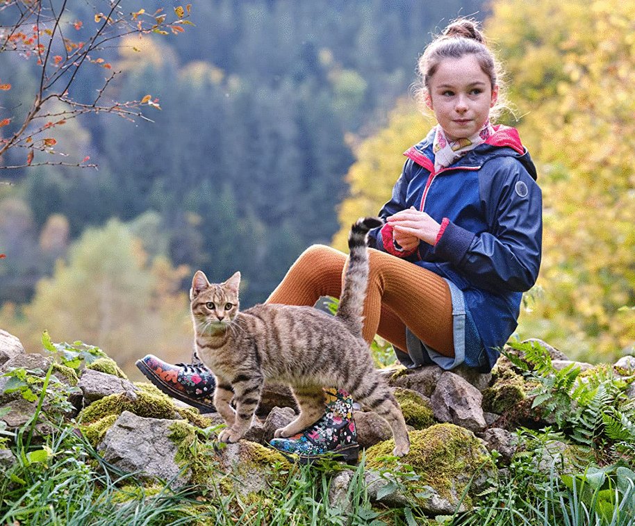 Photo from the movie A Cat's Life [2023]