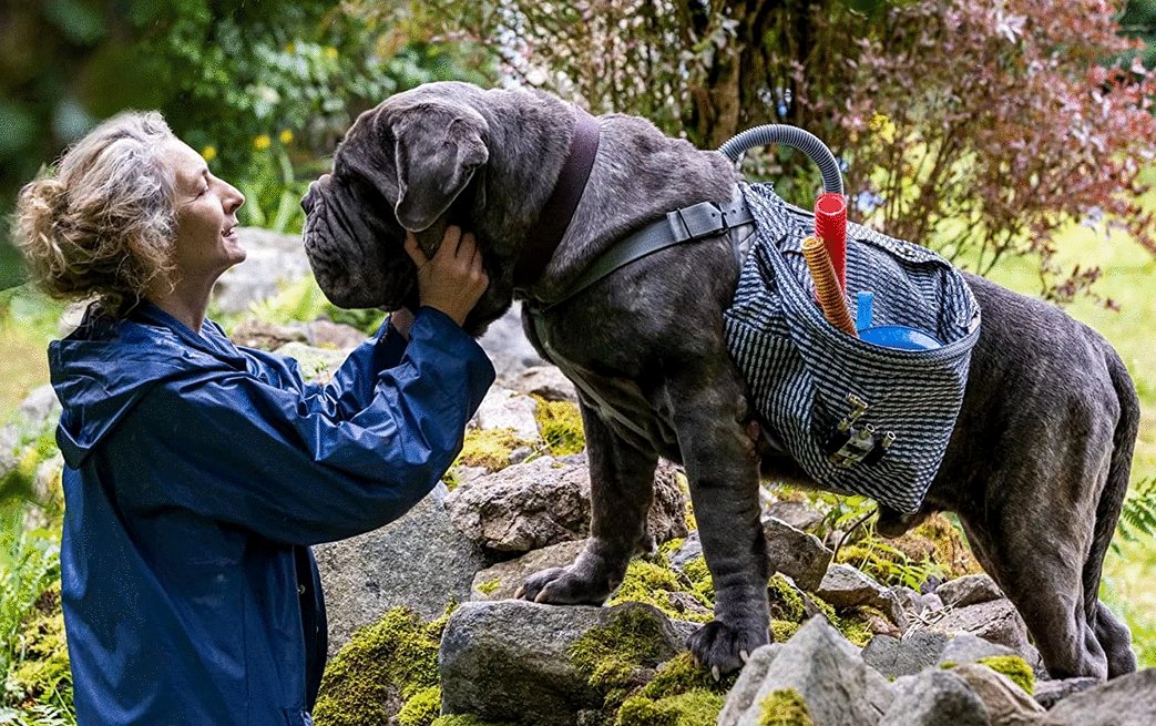 Photo from the movie A Cat's Life [2023]