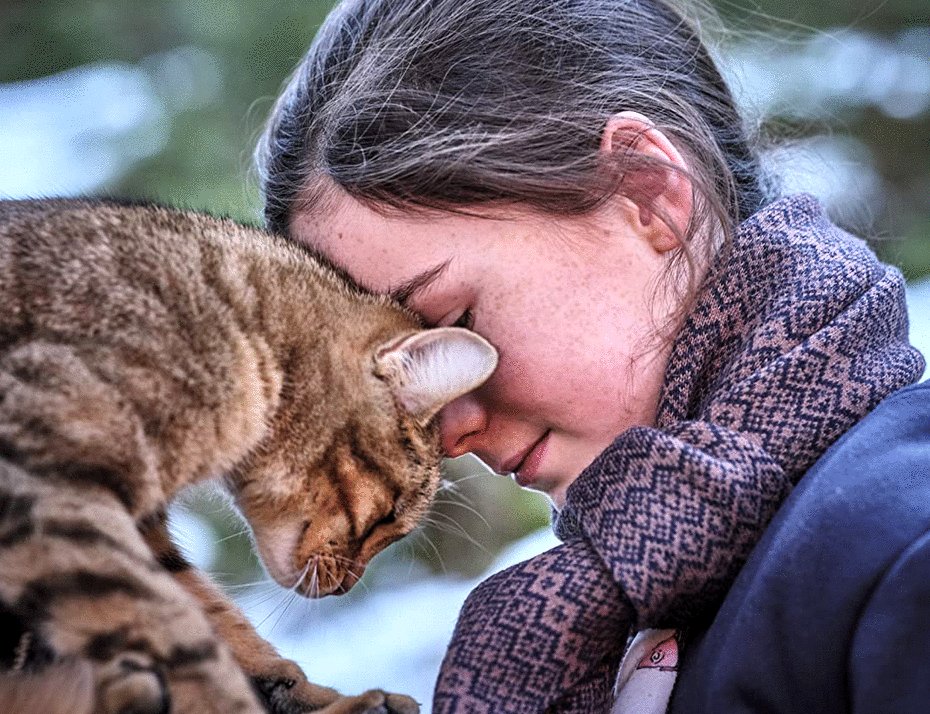 Photo from the movie A Cat's Life [2023]