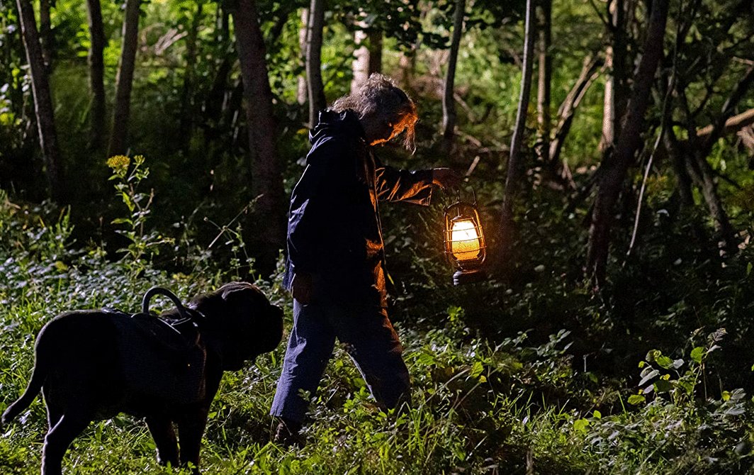 Photo from the movie A Cat's Life [2023]