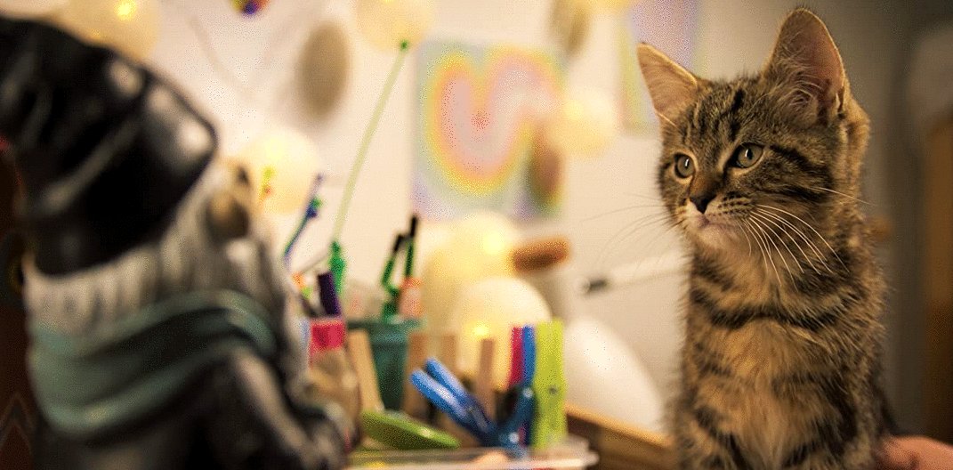 Photo from the movie A Cat's Life [2023]