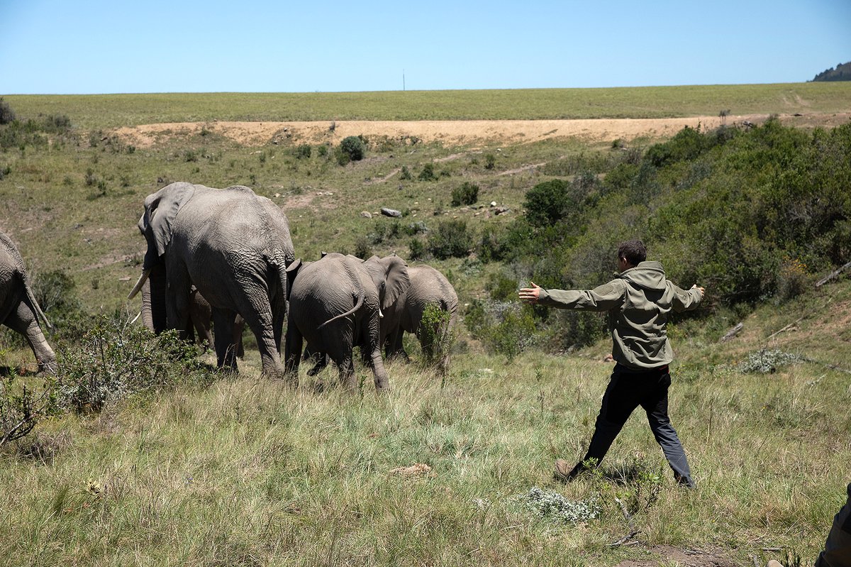 Photo from the movie Animals on the Loose: A You vs. Wild Movie