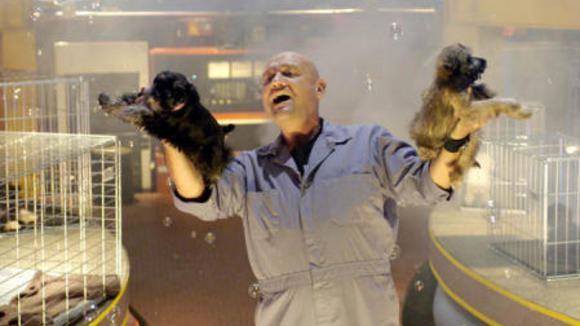 Photo du film Bailey's Billions