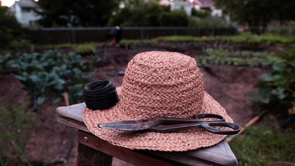 Photo from the movie Plant This Movie