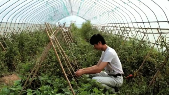 Photo from the movie Plant This Movie