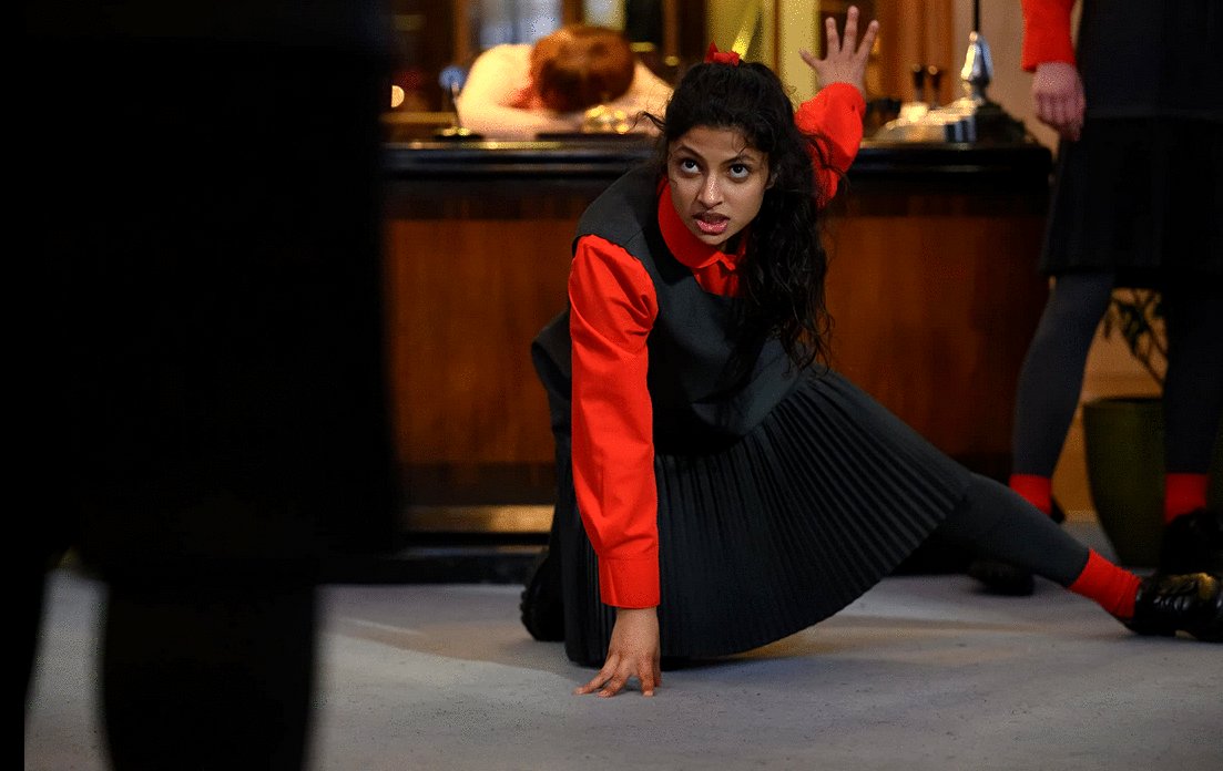 Photo du film Polite Society