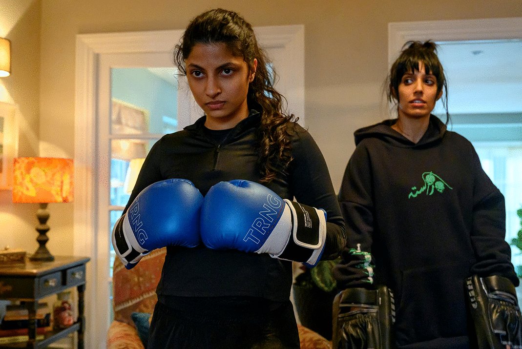 Photo du film Polite Society