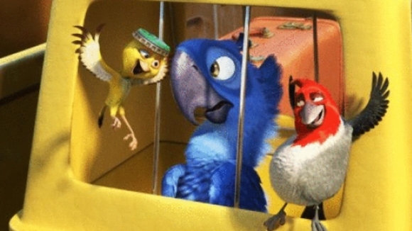 Photo from the movie Rio