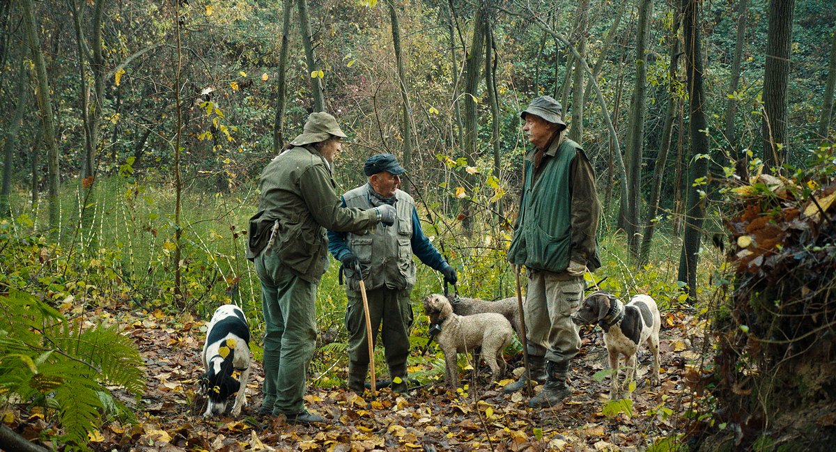 Photo du film The Truffle Hunters