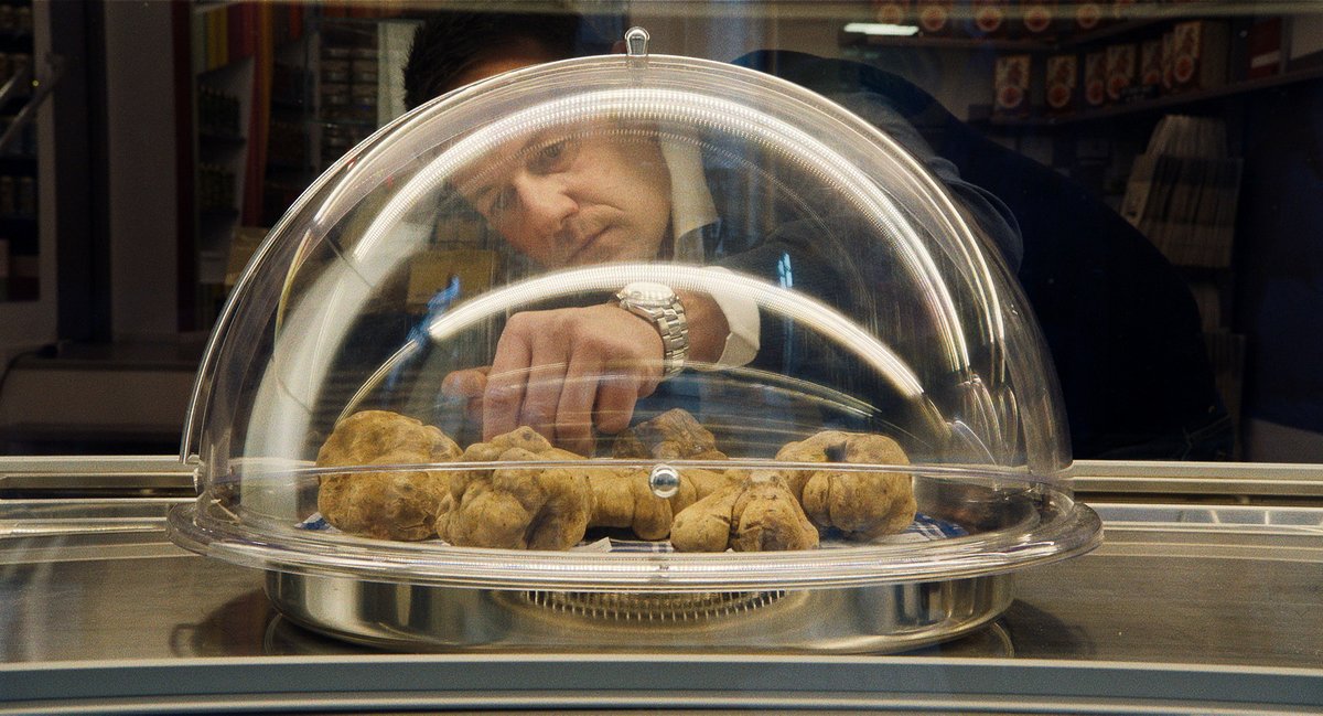 Photo du film The Truffle Hunters