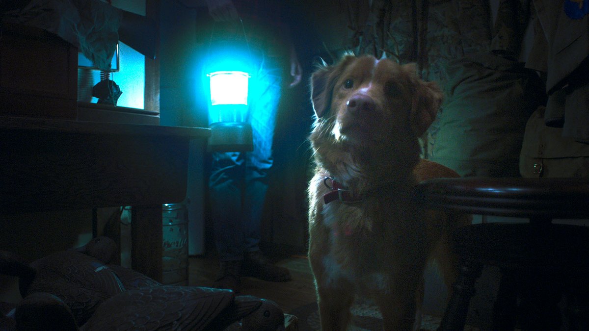 Photo from the movie Good Boy [2025]