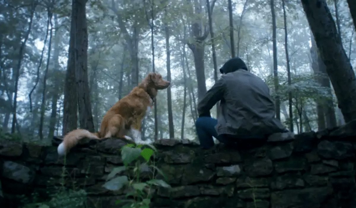 Photo from the movie Good Boy [2025]