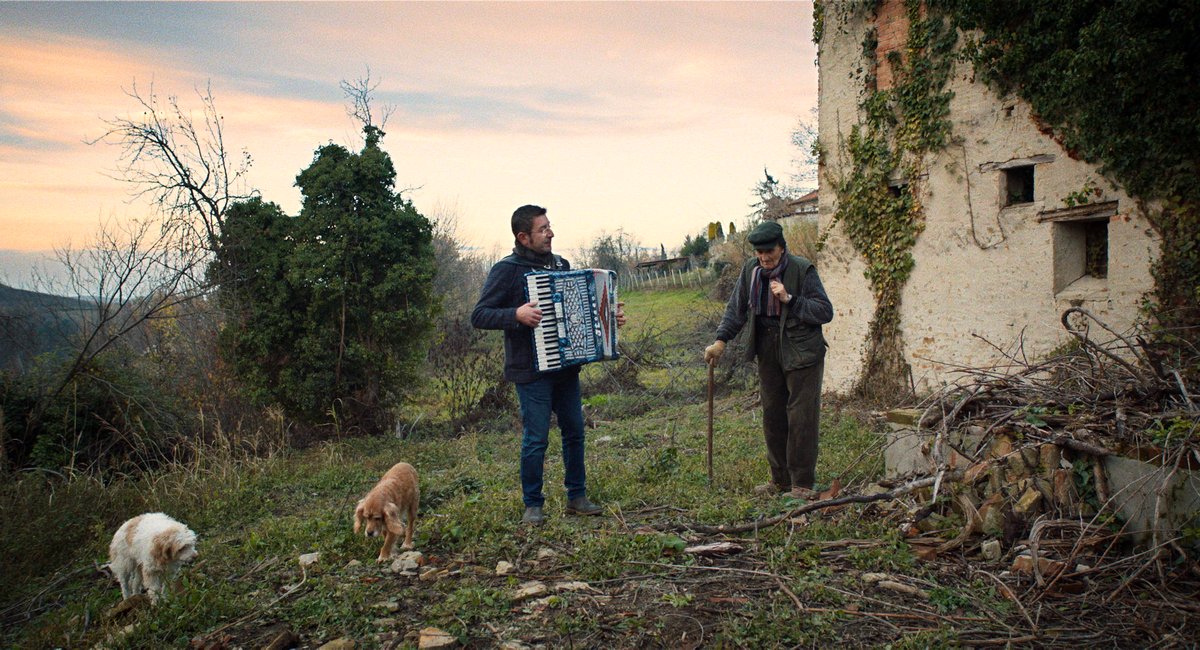 Photo du film The Truffle Hunters