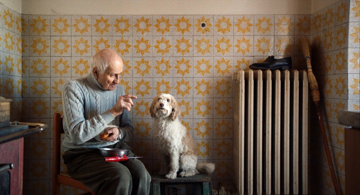 Photo du film The Truffle Hunters