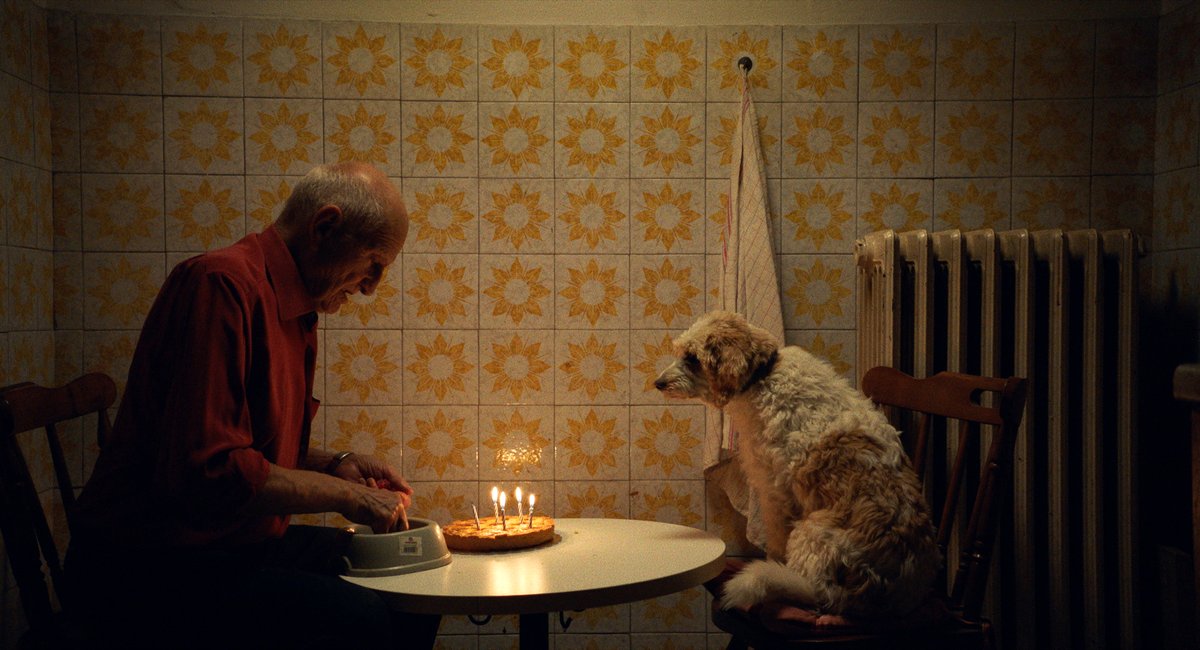 Photo du film The Truffle Hunters