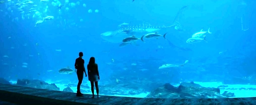 Photo from the movie After