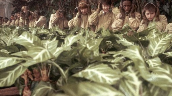 Photo from the movie Harry Potter and the Chamber of Secrets