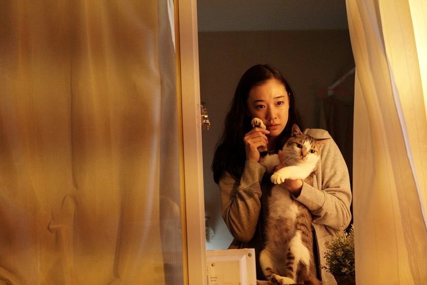 Photo du film Azumi Haruko wa yukue fumei