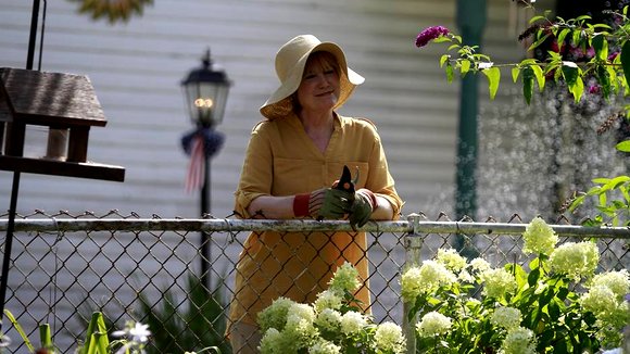 Photo du film Miss Meadows