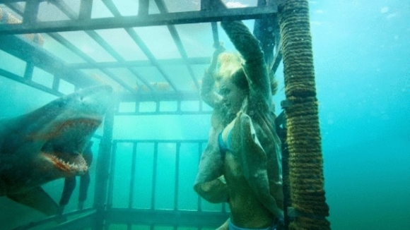 Photo du film Requins