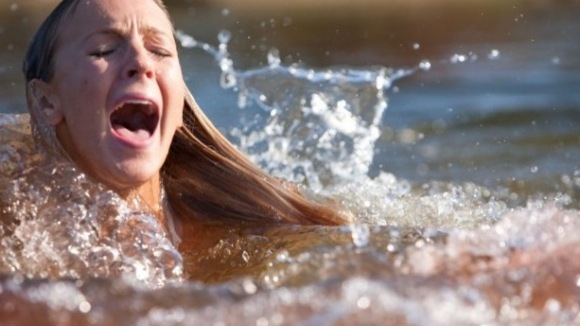 Photo du film Requins