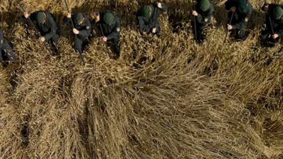 Photo from the movie The Silence