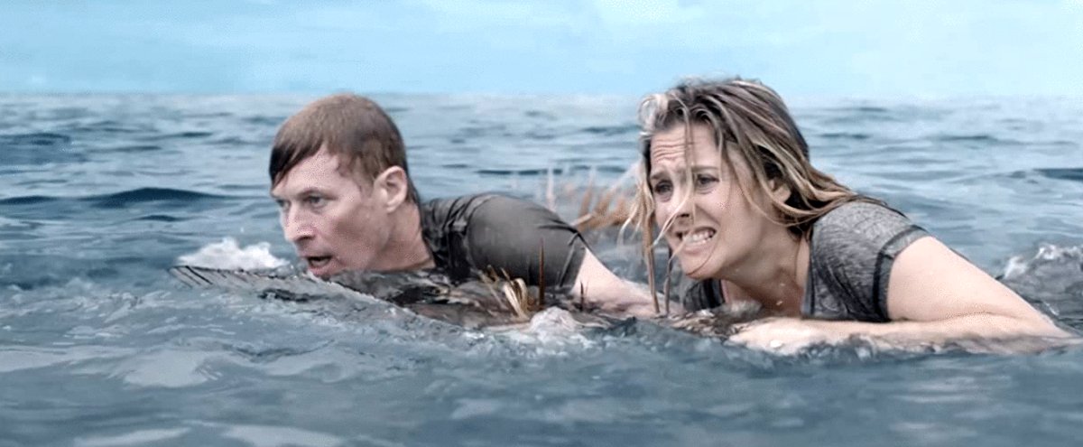 Photo du film The Requin